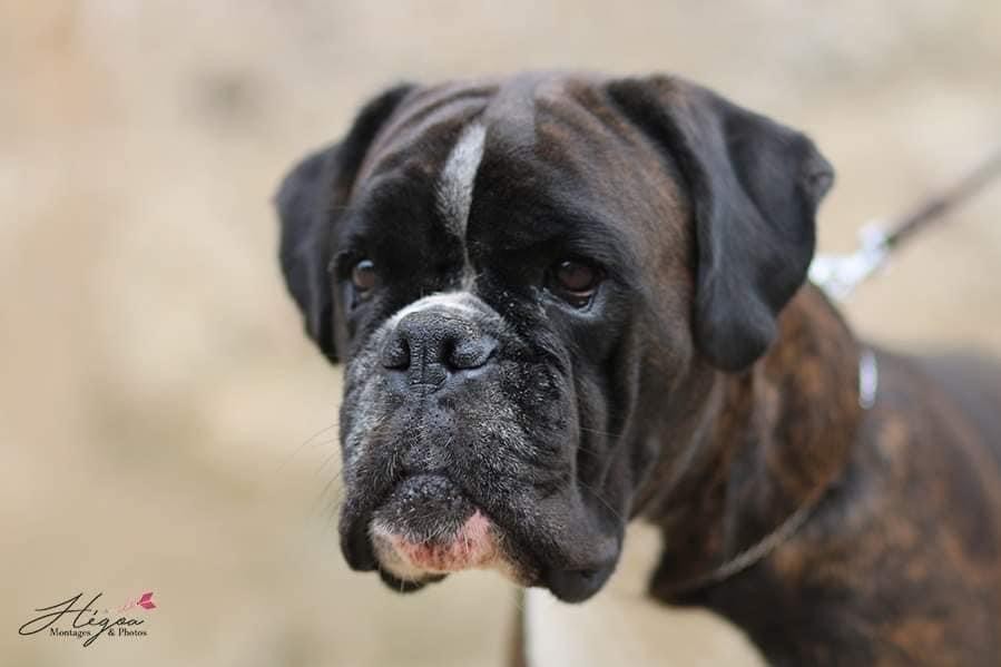 Oxy Des Fontaines De Nolibos