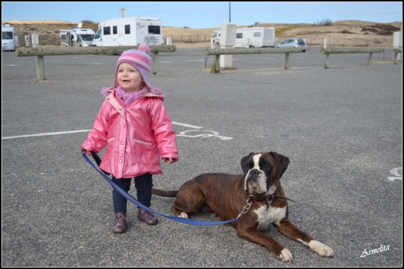 Un Amour de Boxer